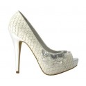 Zapato 07